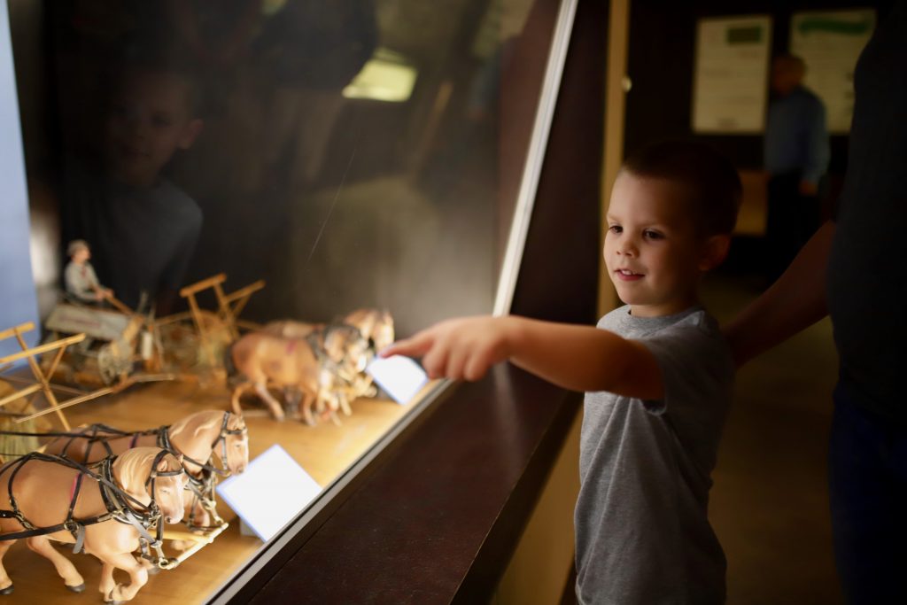 Boy pointing at collection inside an exhibit at the State Agricultural Museum